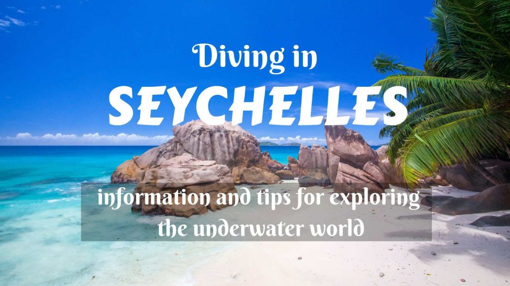 Diving in Seychelles- information and tips about exploring the underwater world