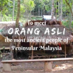 To meet Orang Asli- the most ancient people of Peninsular Malaysia