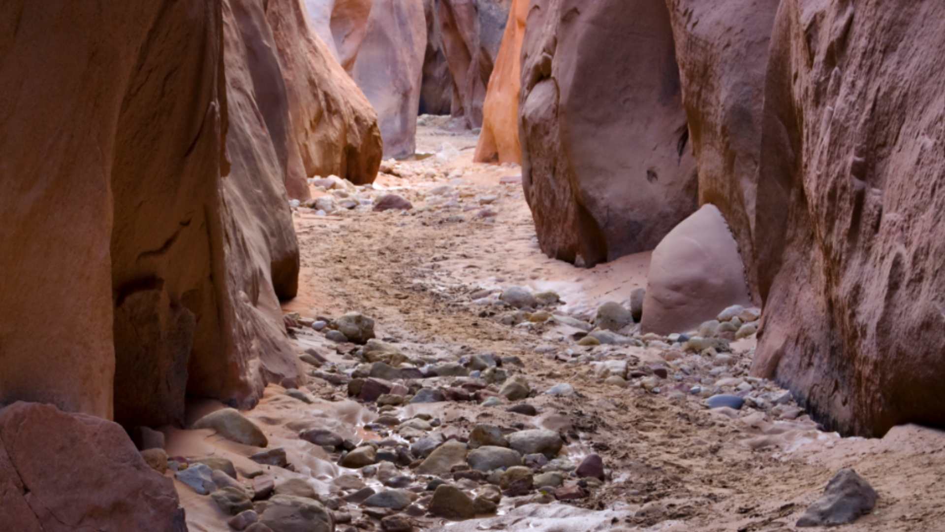 On the bottom of the Buckskin Gulch