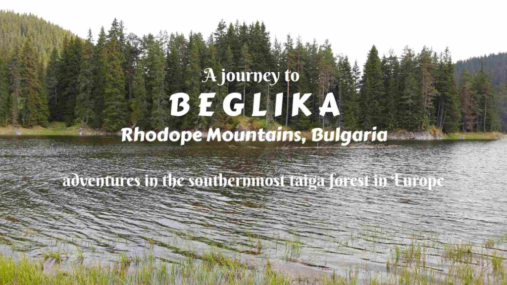A journey to Beglika in Rhodope Mountains, Bulgaria- adventures in the southernmost taiga forest in Europe