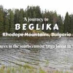A journey to Beglika in Rhodope Mountains, Bulgaria- adventures in the southernmost taiga forest in Europe