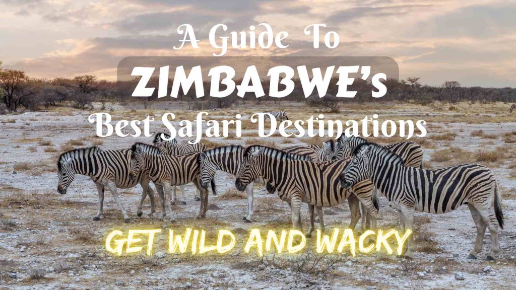 A Guide to Zimbabwe's Best Safari Destinations | Get Wild and Wacky