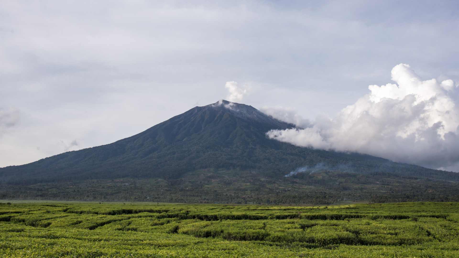 Mount Kerinci (3805 m)