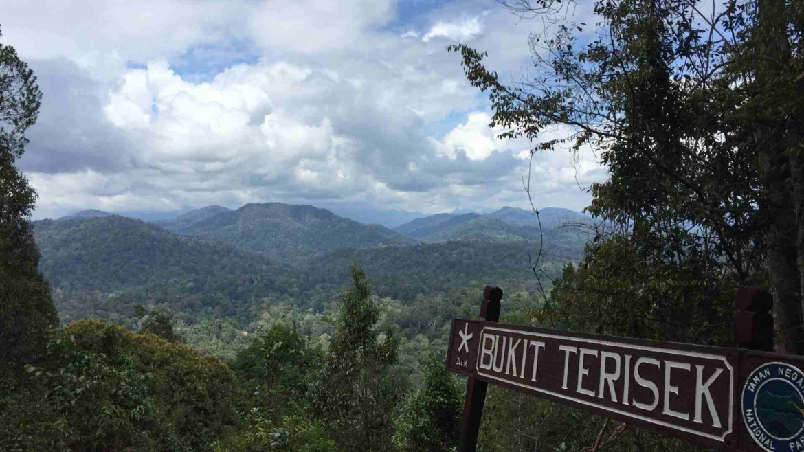 A view to Gunung Tahan from Bukit Teresek