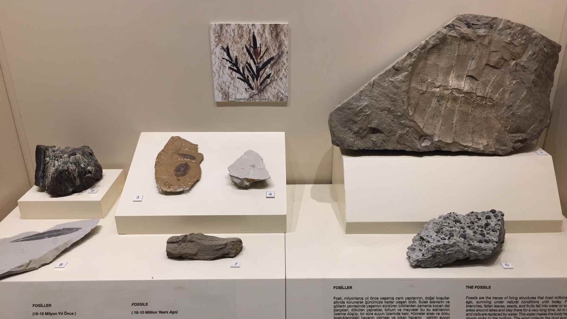 Ancient artifacts from Thyatira