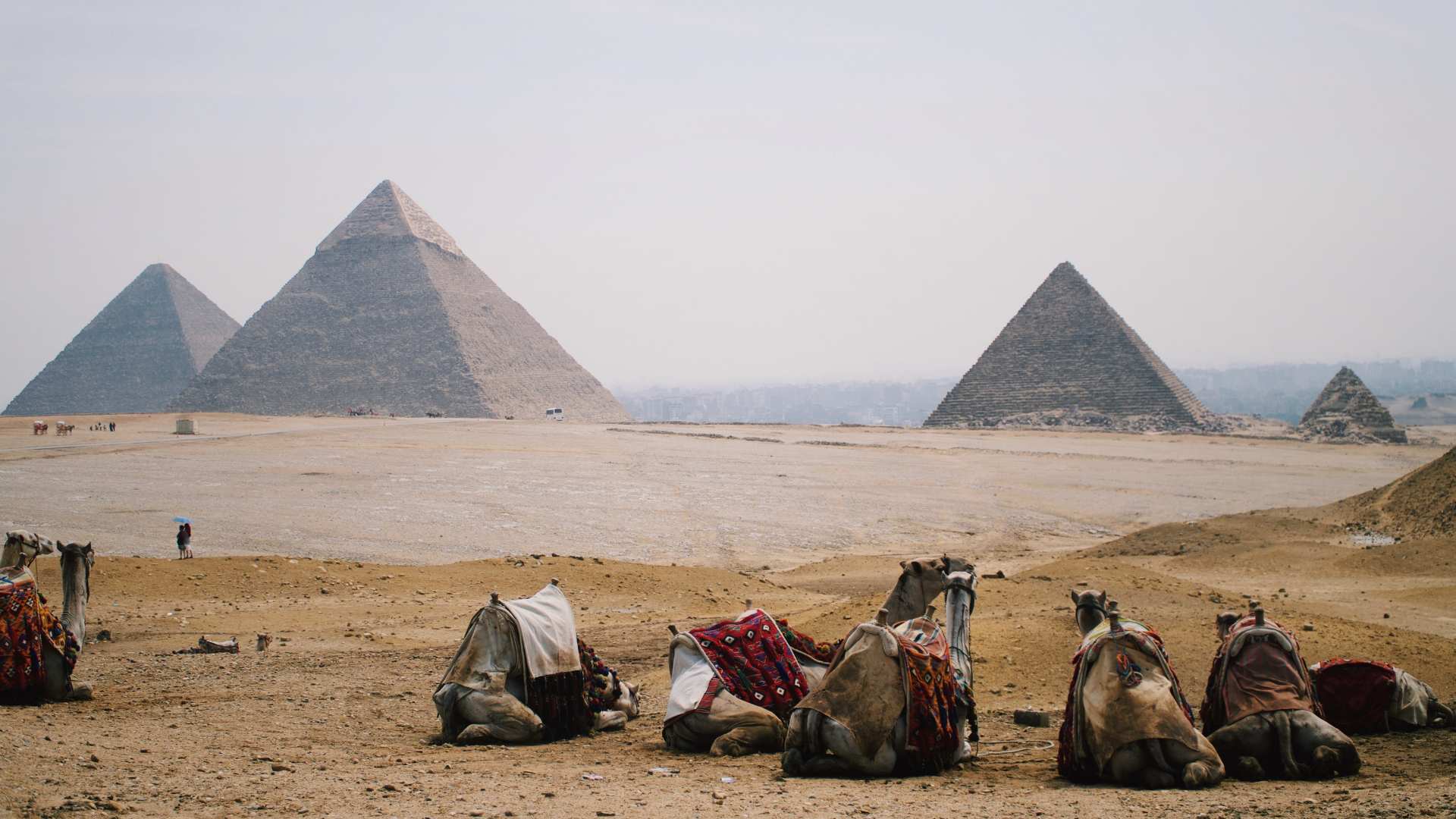 The pyramids of Giza