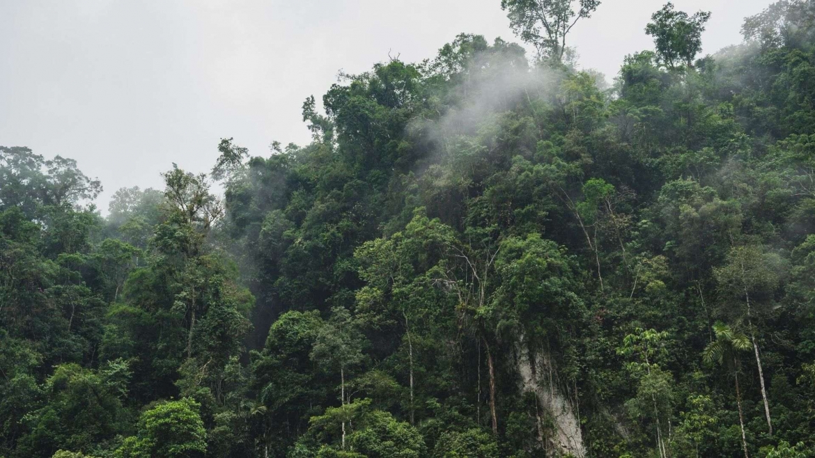 This is how the Pole of Inaccessibility looks like