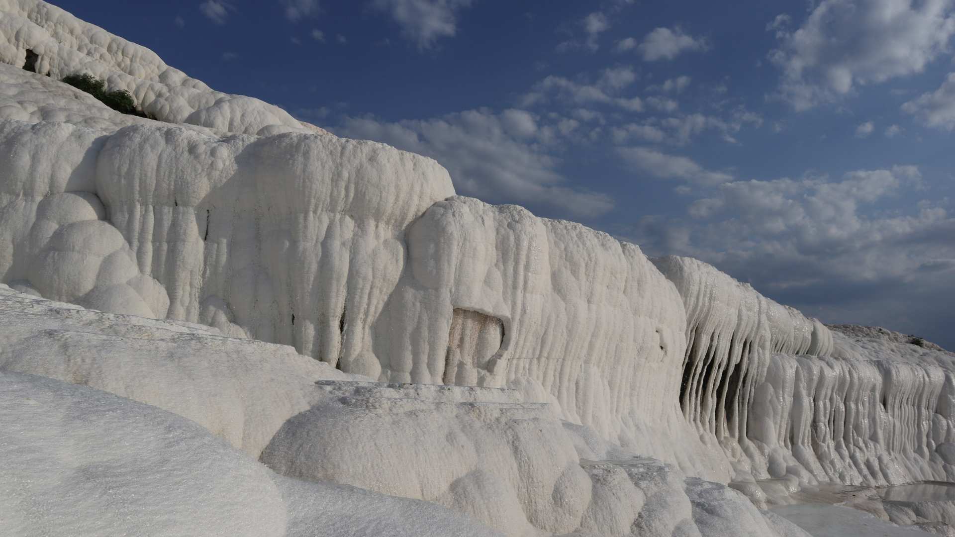 It really looks like cotton!