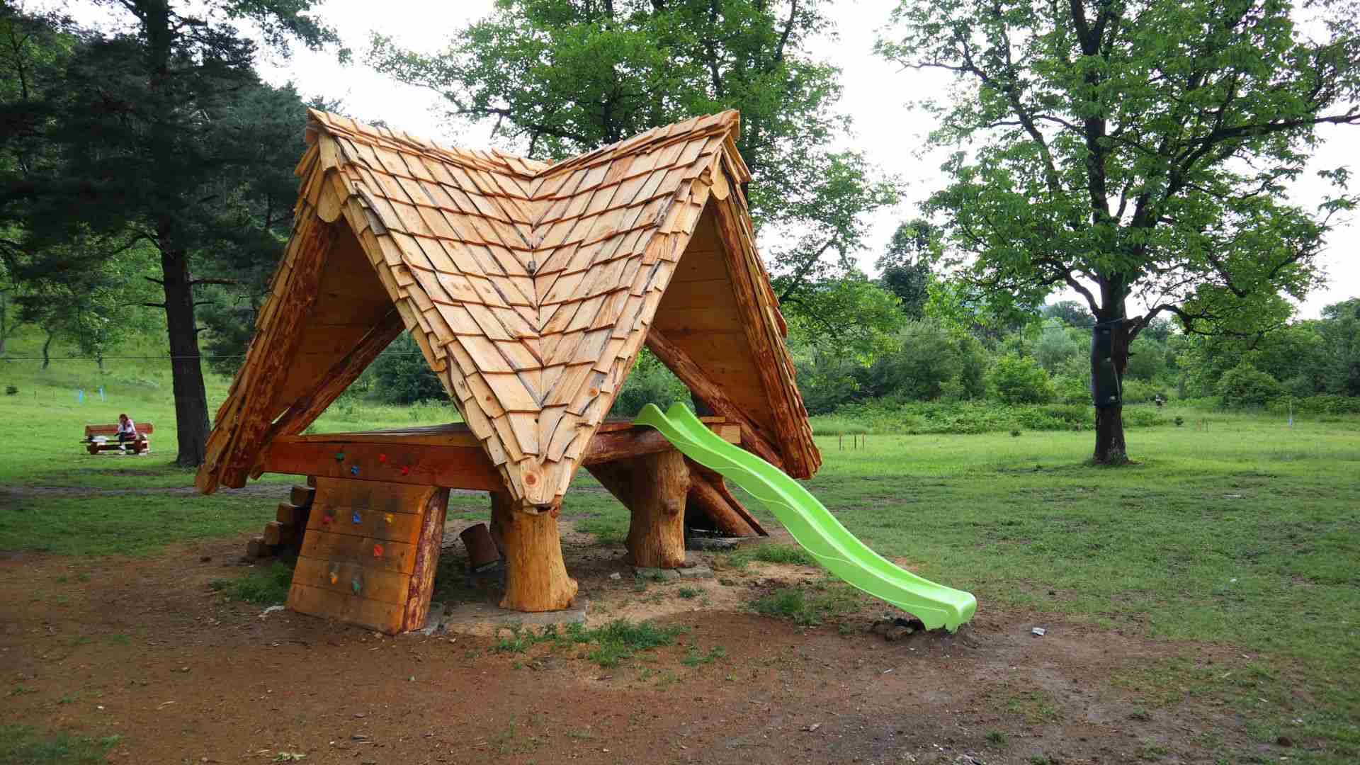 In the Forest Park Turlata