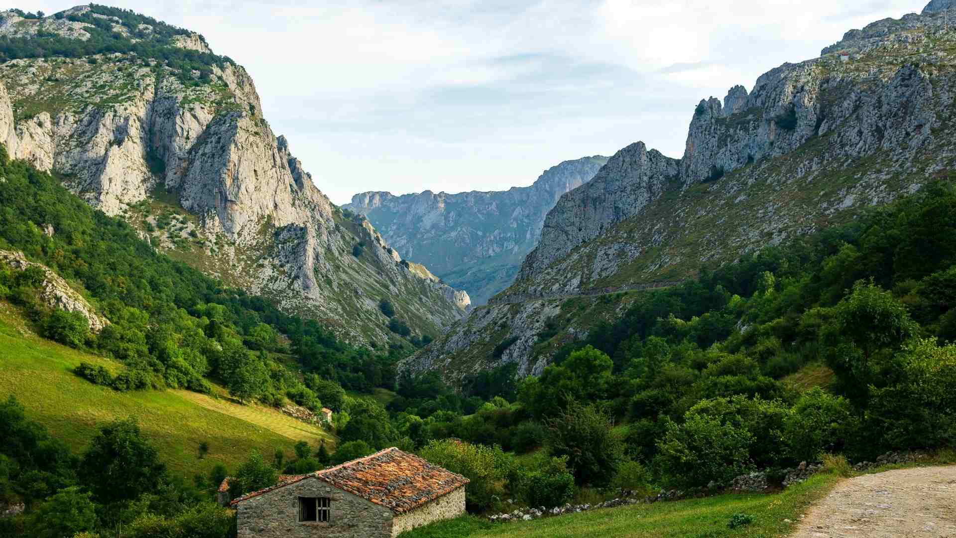 Picos de Europa National Park