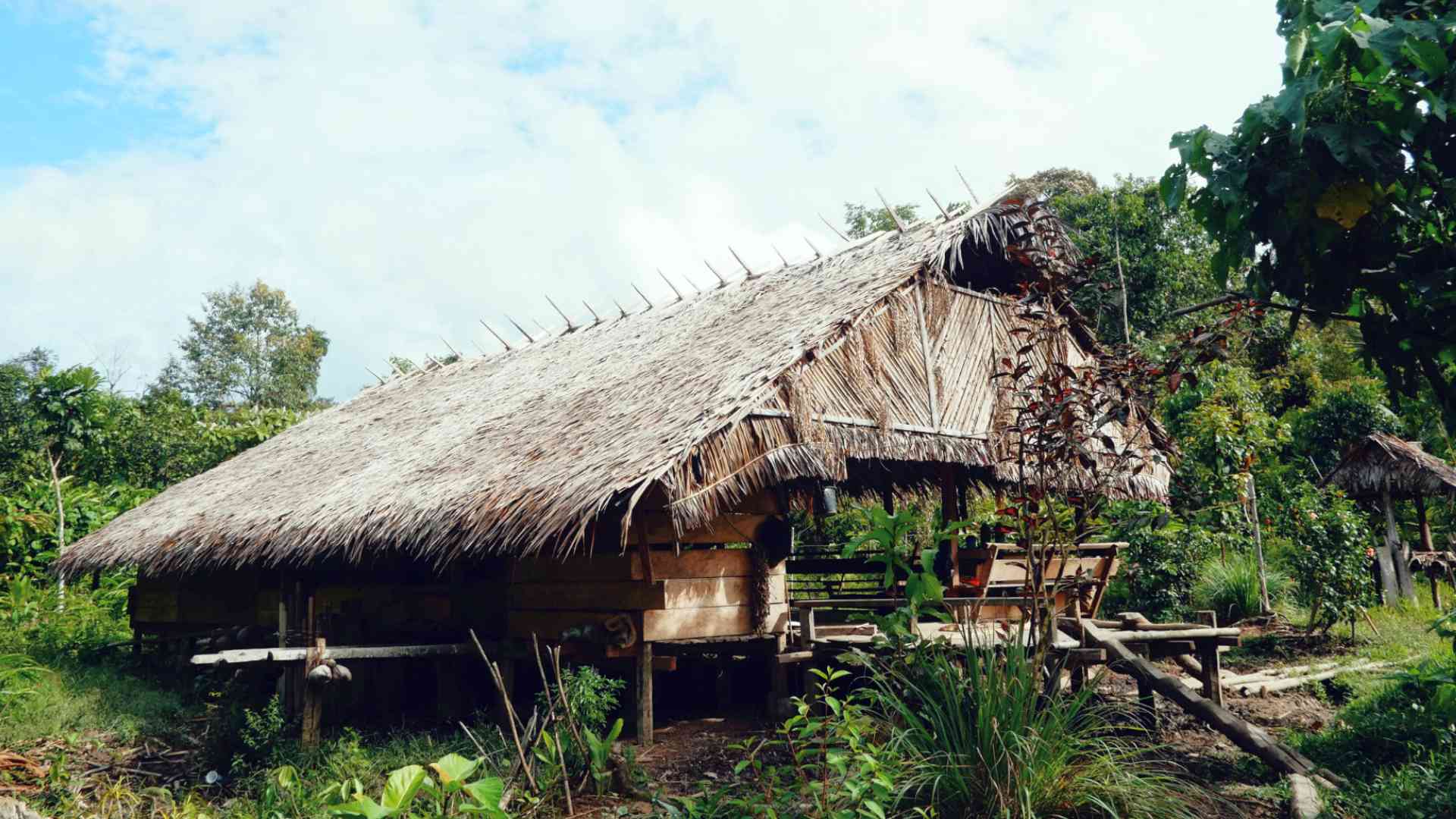 A house of Mentawai tribe