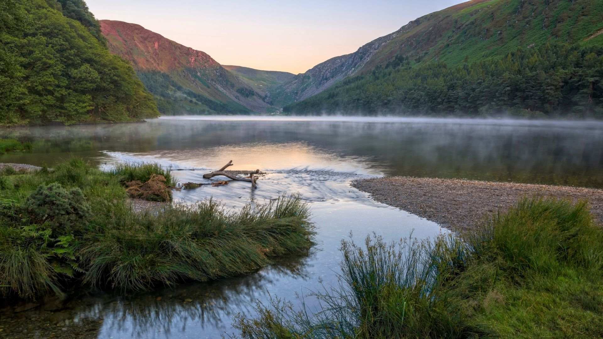 Wicklow Mountains National Park