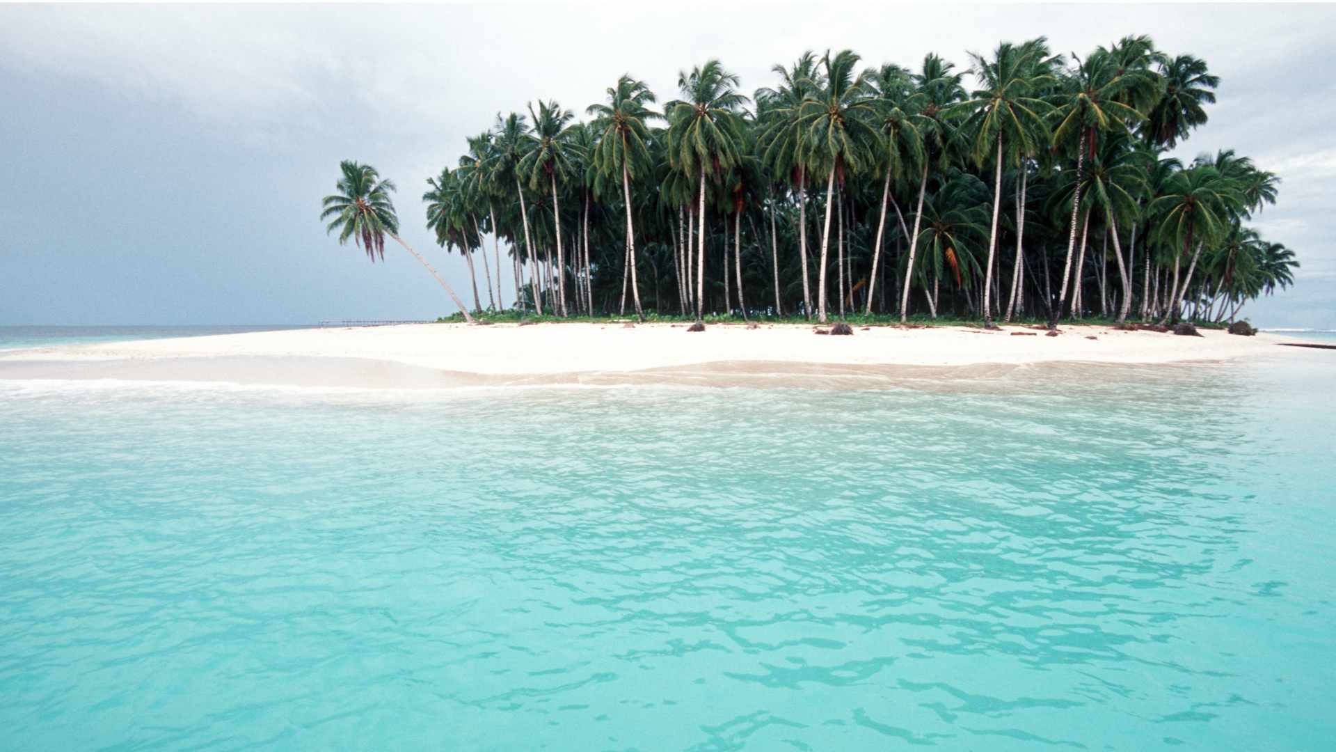 Mentawai tropical paradise