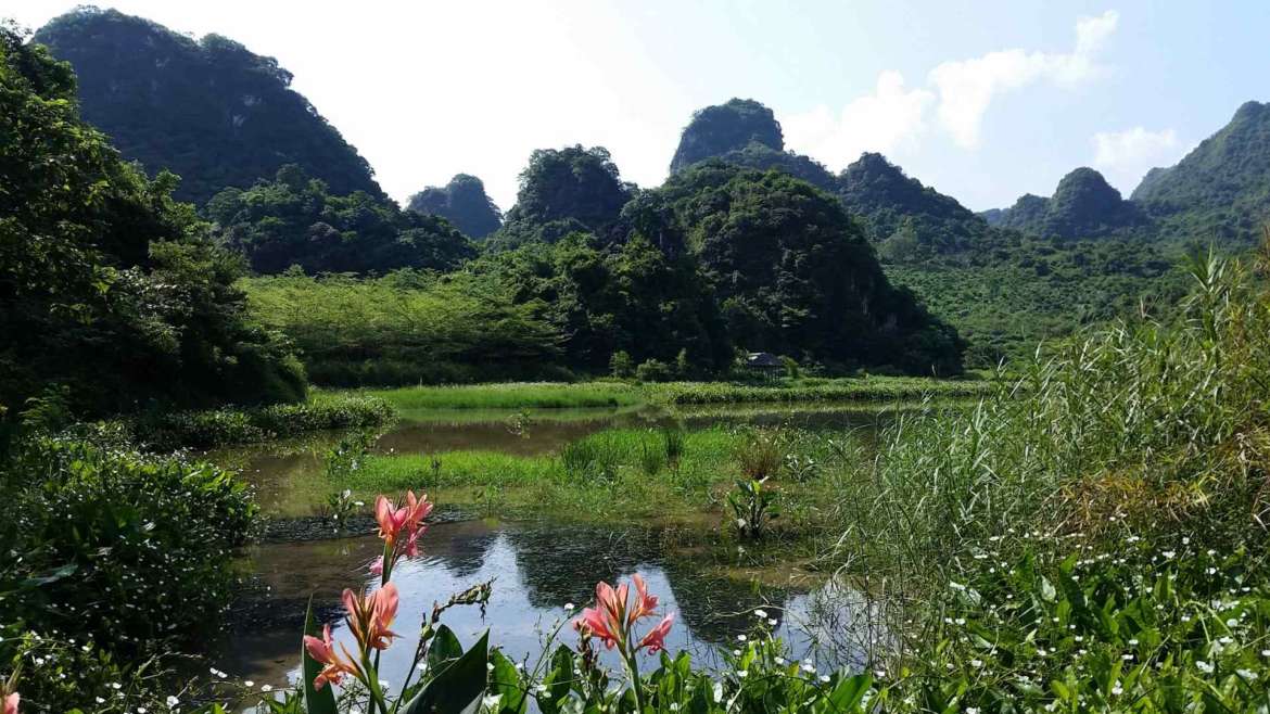 Yingxi Limestone Hills- Yingxi Shengjing