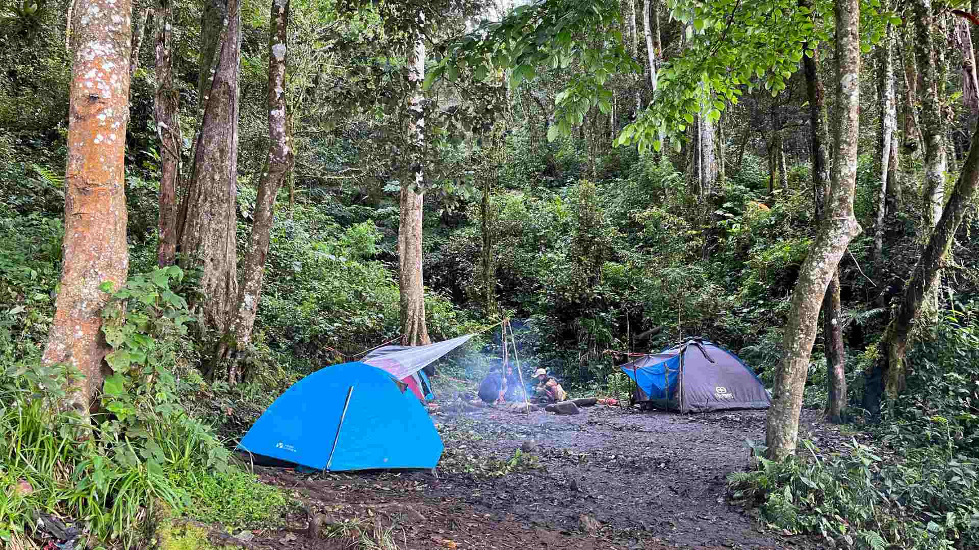Camping at the lake shore