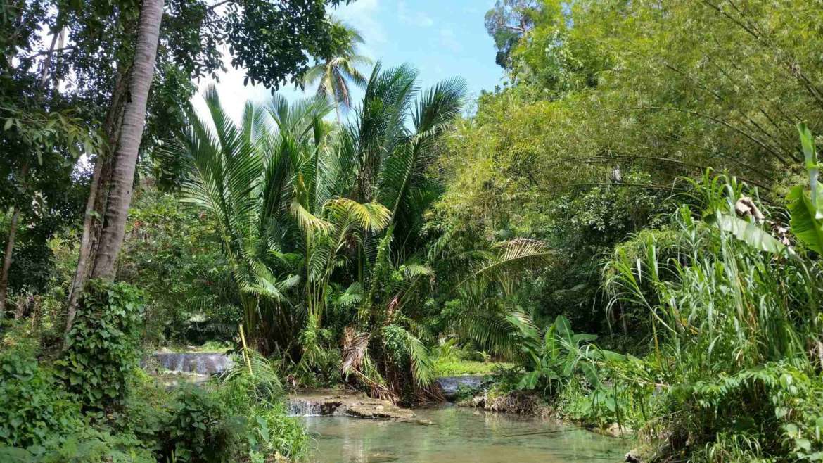 What to do in Siquijor- in the interior of the island