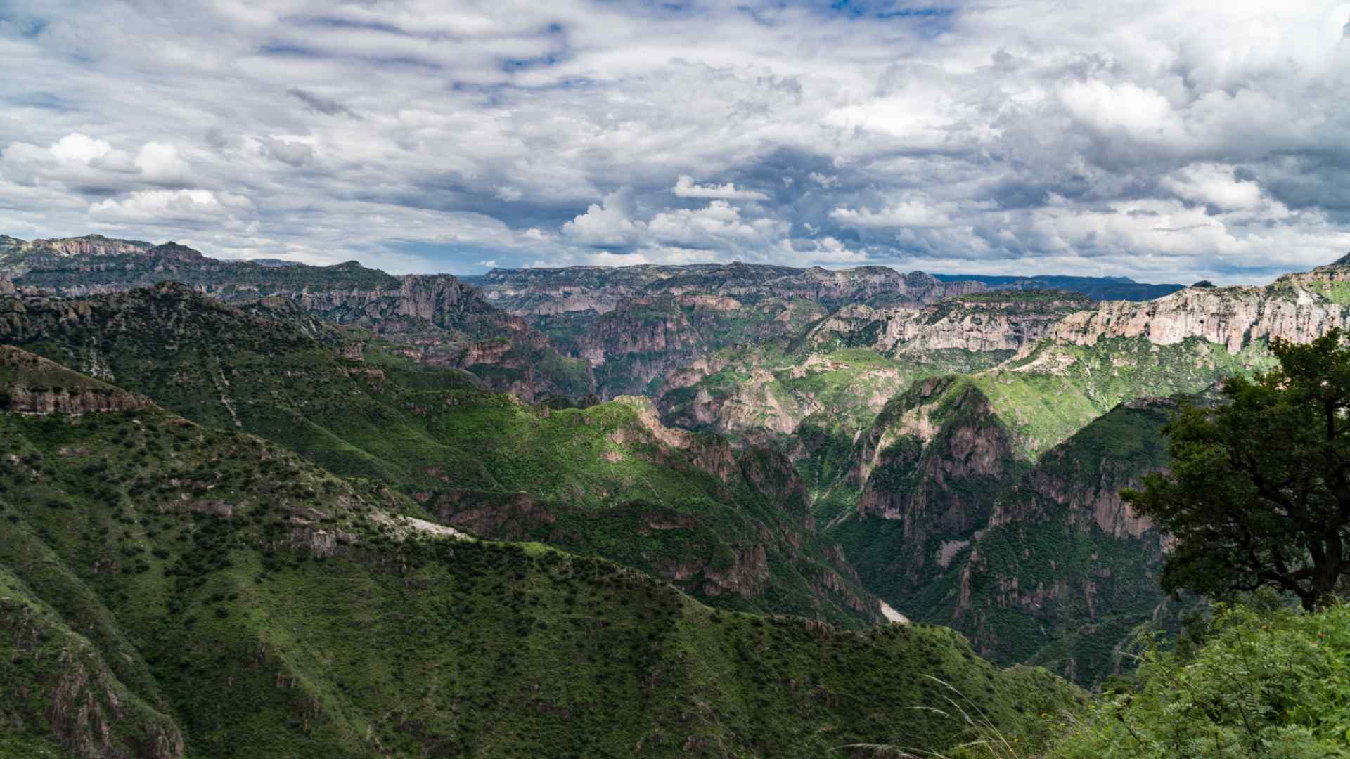 The endless maze of Copper Canyon