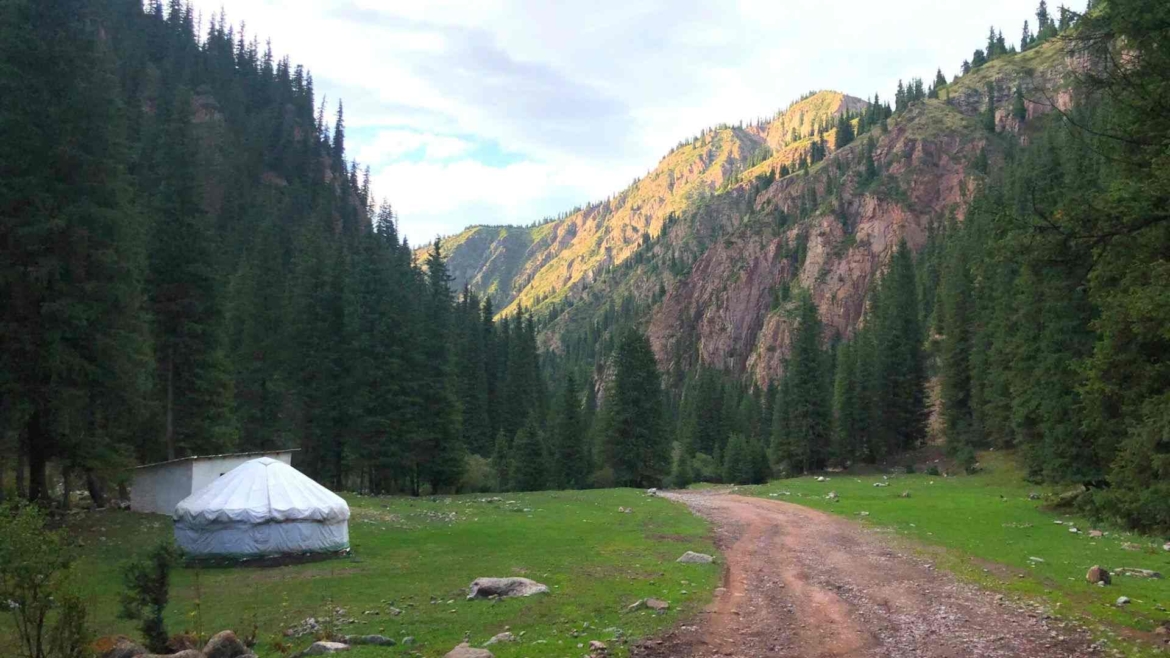 Way back to the village- The Seven Bulls