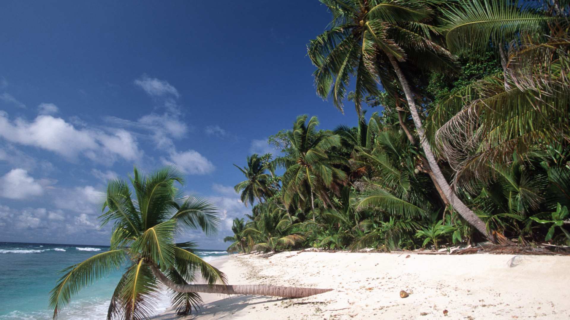 Mentawai tropical paradise