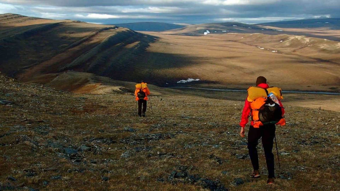Exploring the tundra