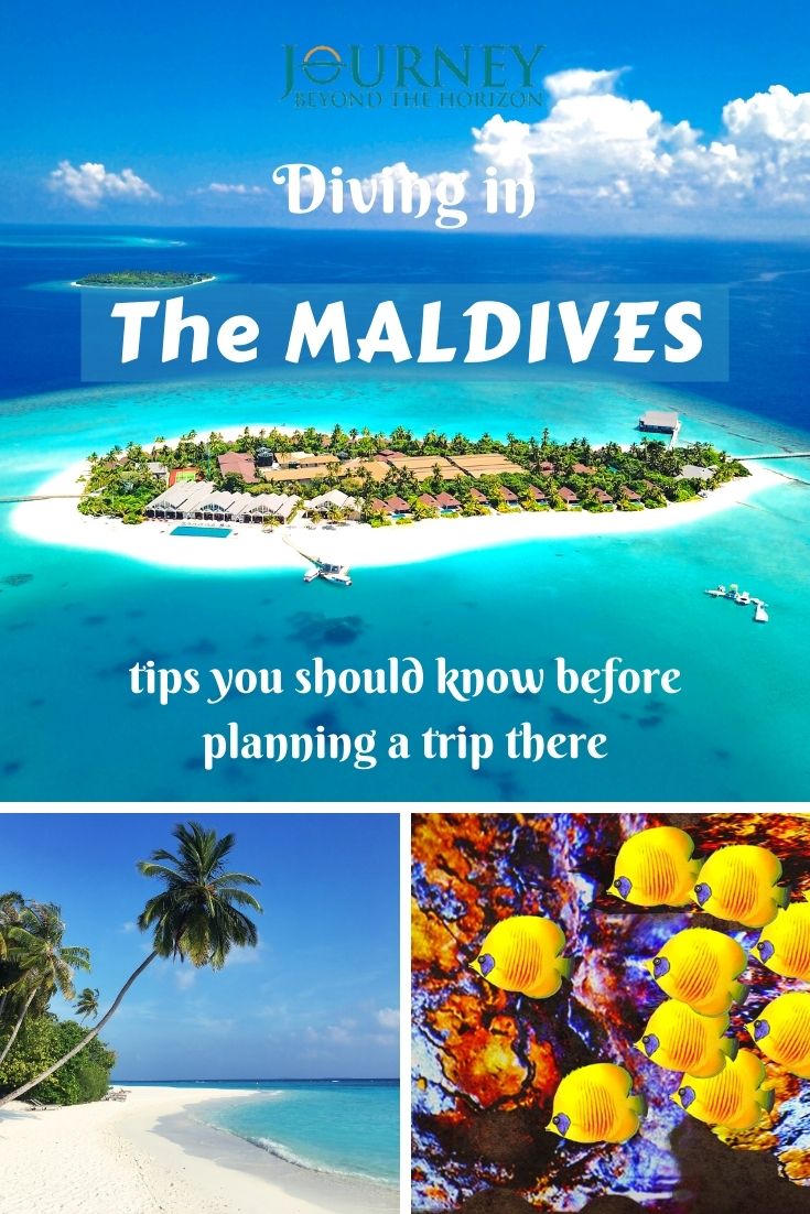 A guide about diving in the Maldives, including the basic overview, the diving areas and their best diving spots, and the best liveaboards.