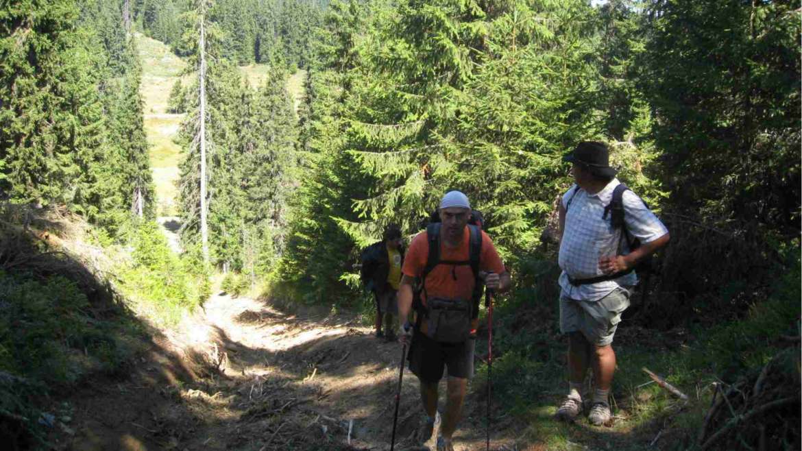 Srebren peak hiking, Rhodope mountains