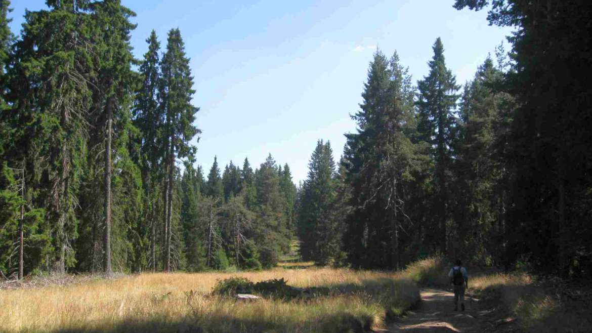 Trekking to Longurli, Rhodope mountains