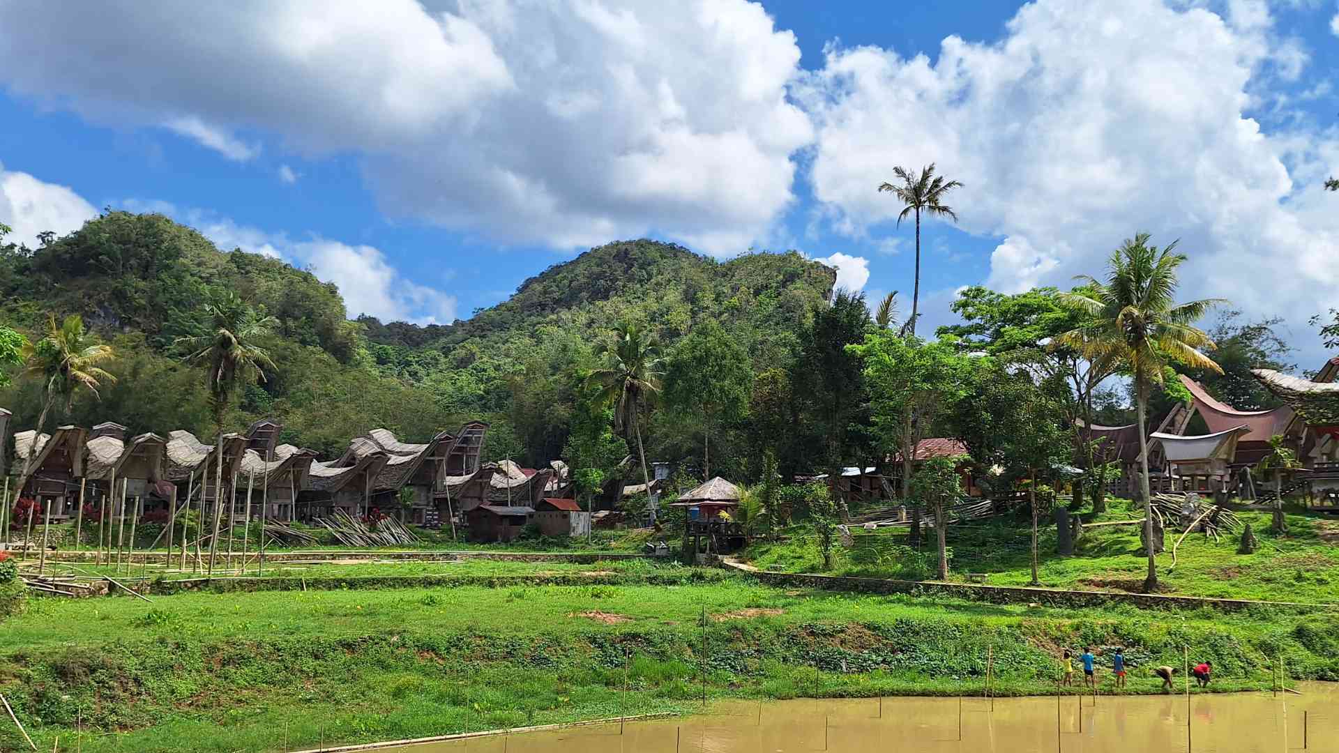 A rural landscape in Tana Toraja