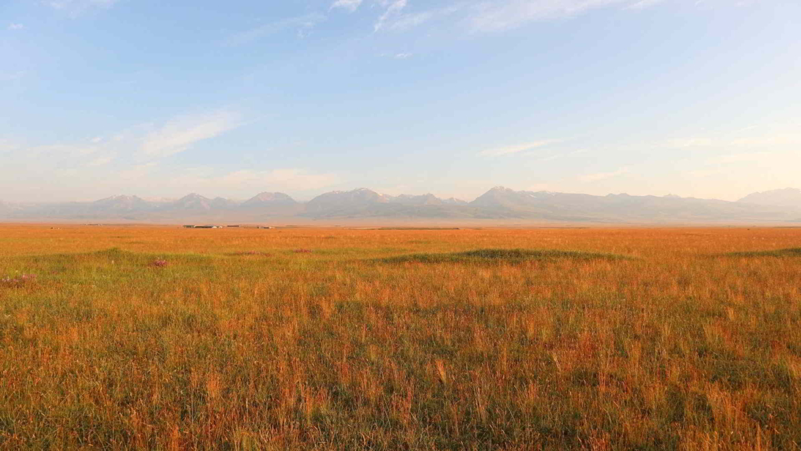 Early morning in Bayan Bulak Grassland