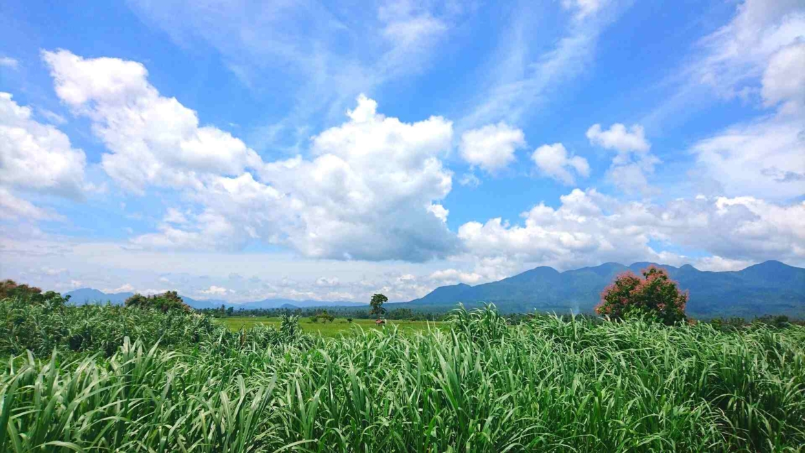 Tacloban countryside, Leyte Island