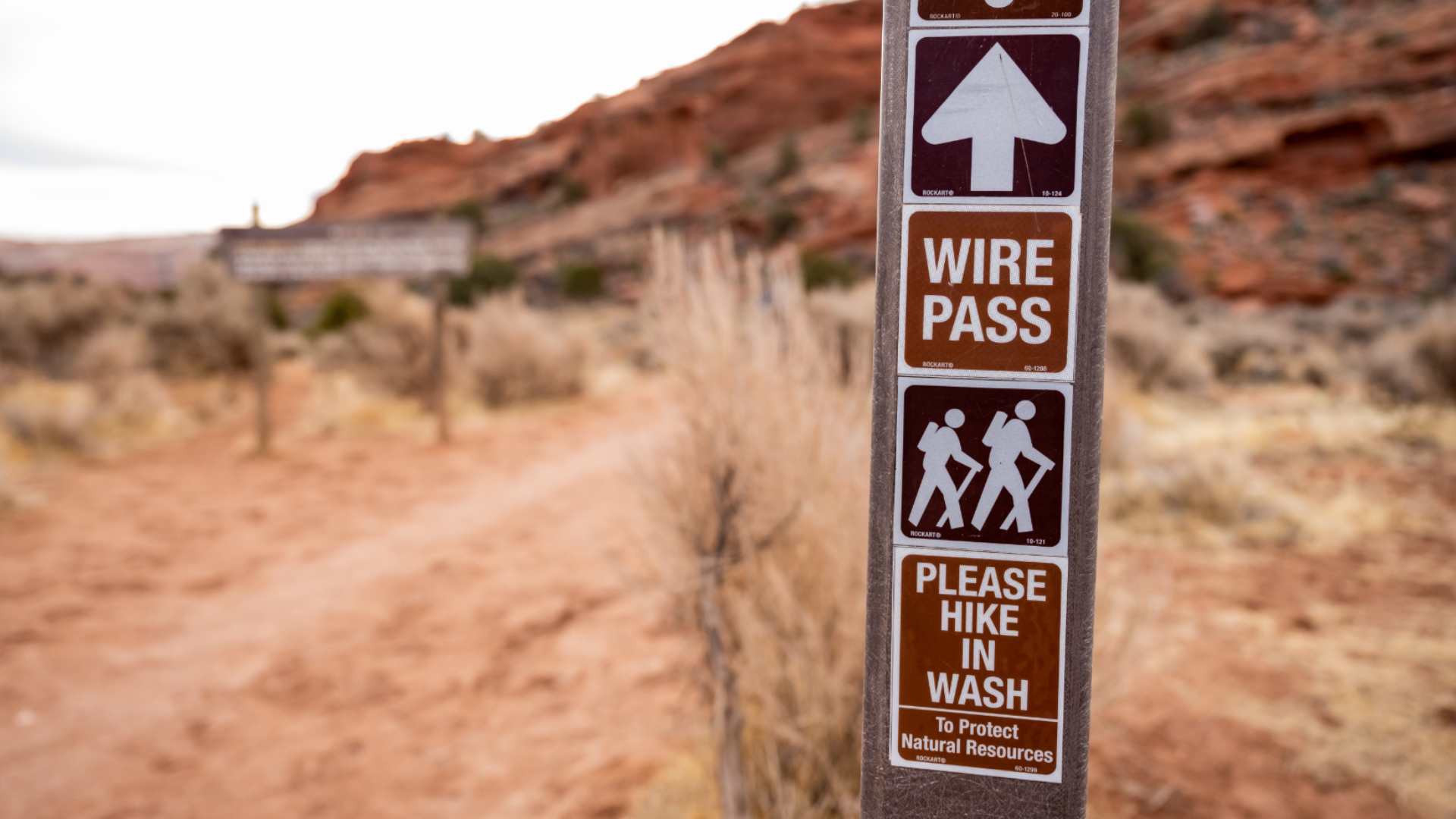 Starting from Wire Pass trailhead