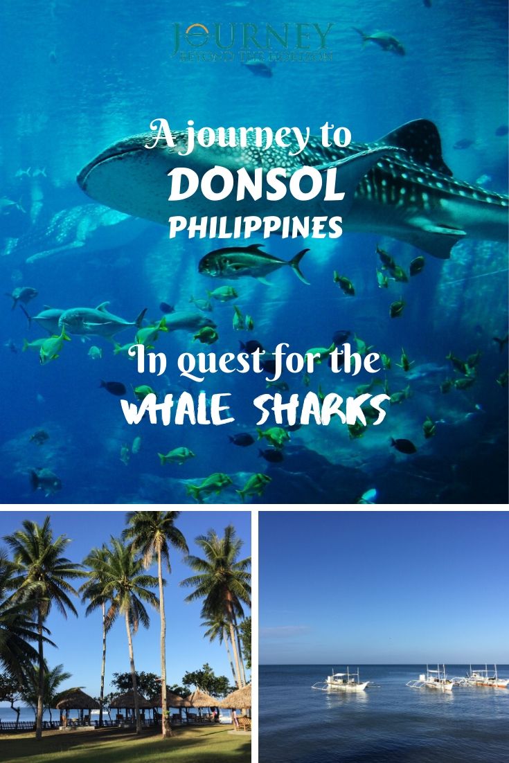 Make a journey to Donsol, Philippines, and join a whale sharks tour!