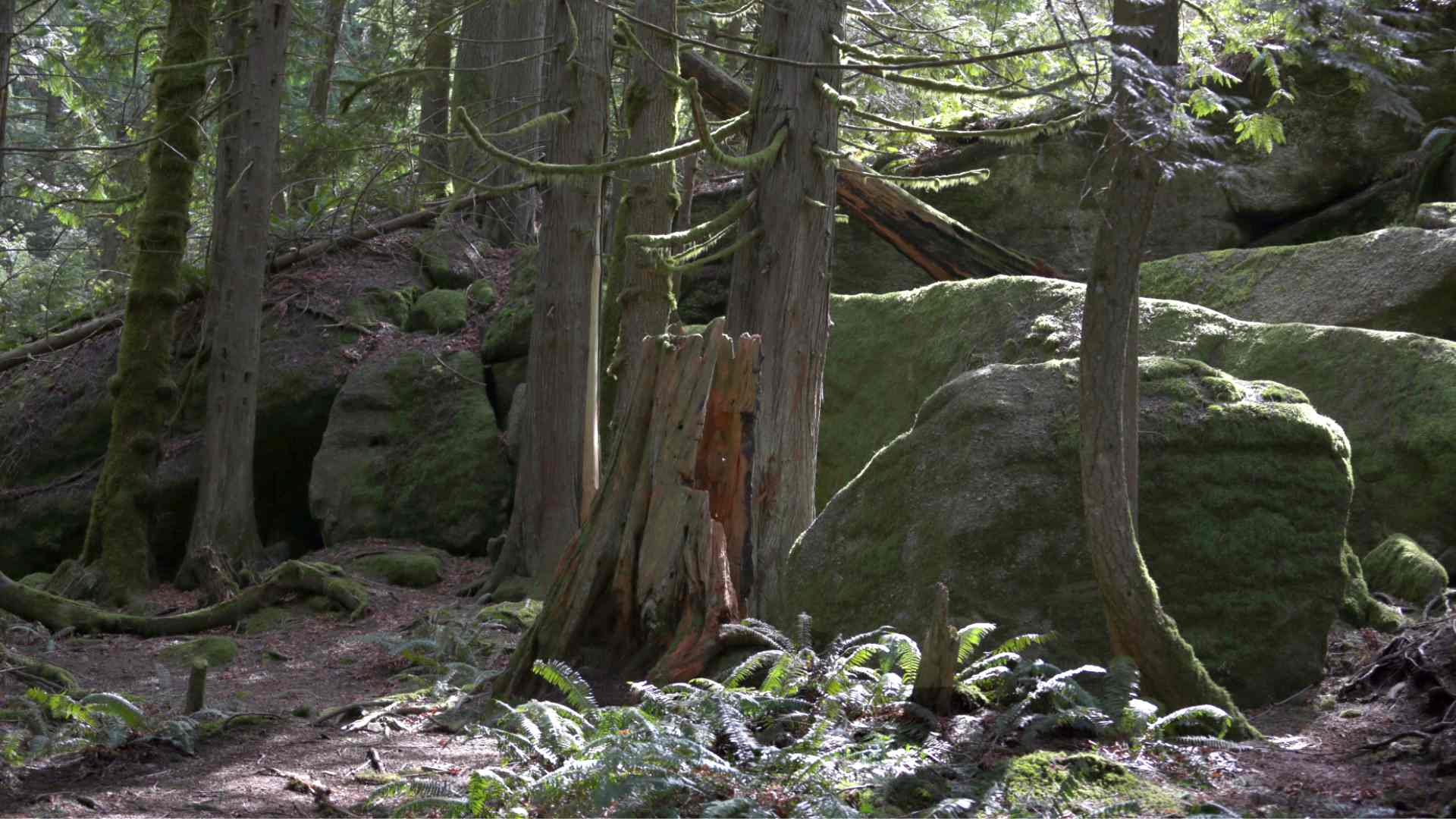 The 7 Best Hiking Trails in British Columbia