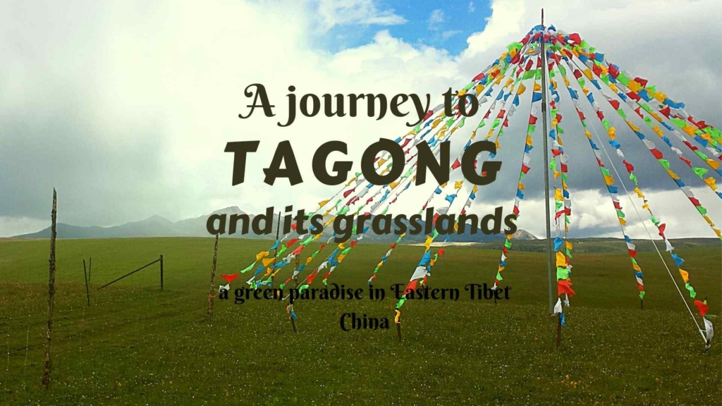 A journey to Tagong and its grasslands, a green paradise in Eastern Tibet, China