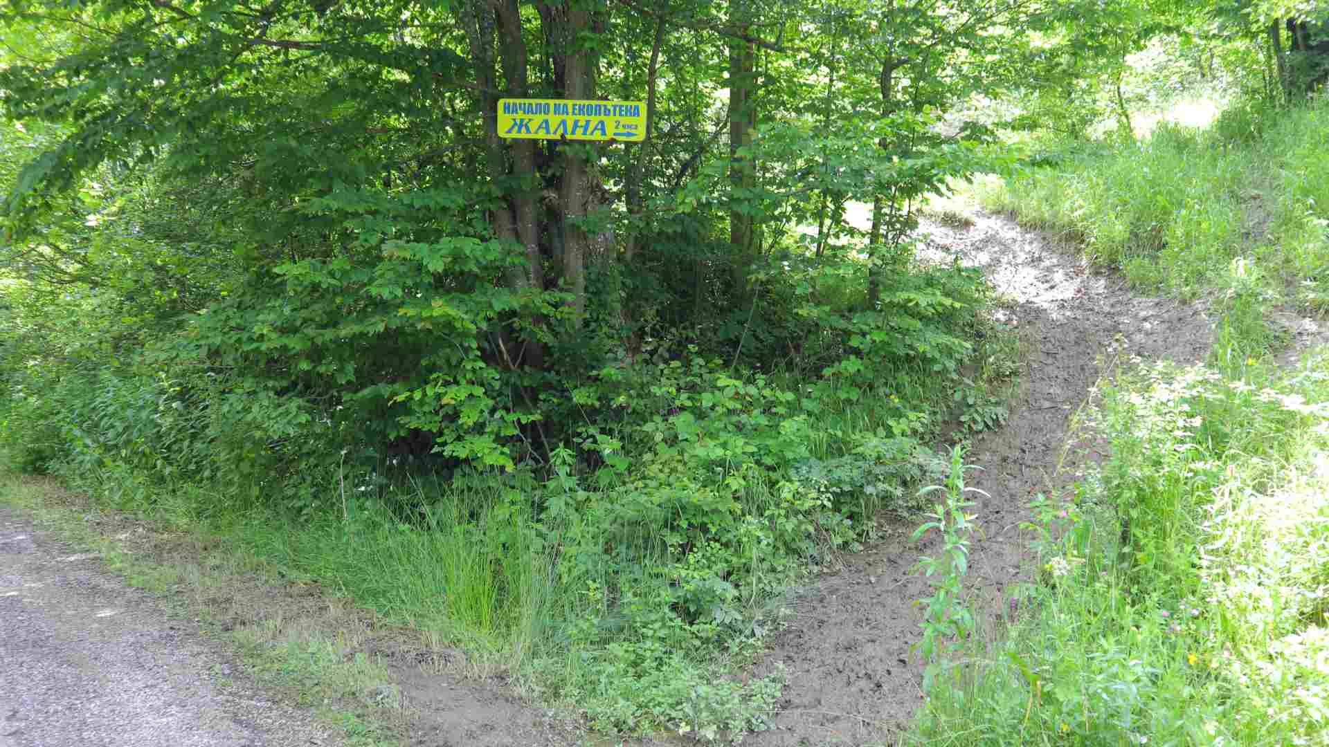 The eco-trail Zhalna