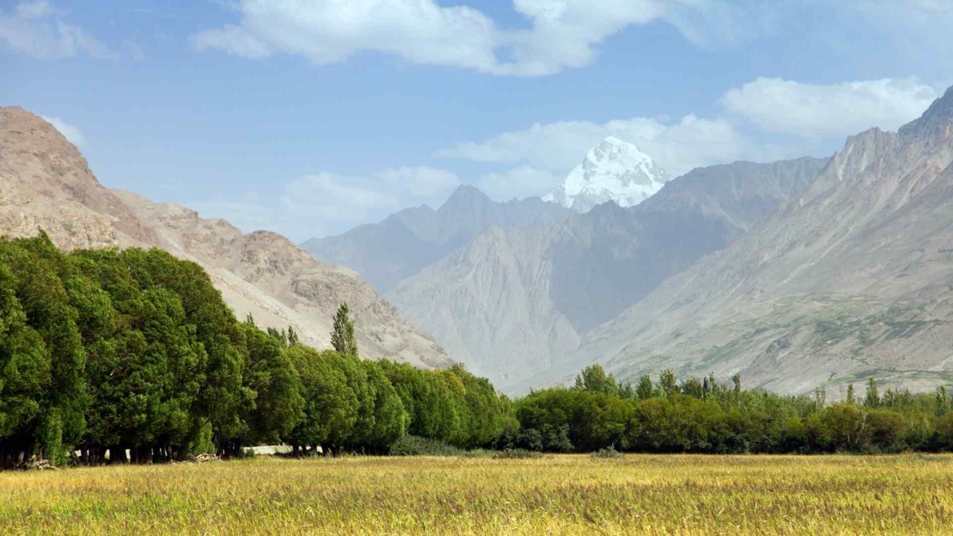 Landscape around Langar