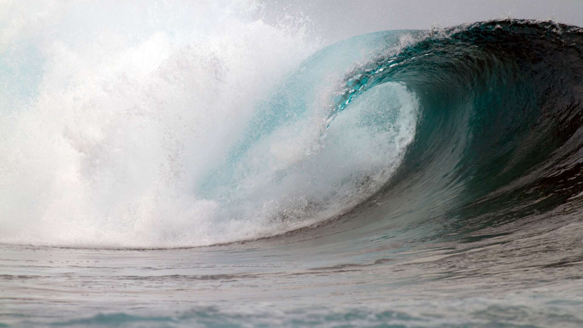 Mentawai wave