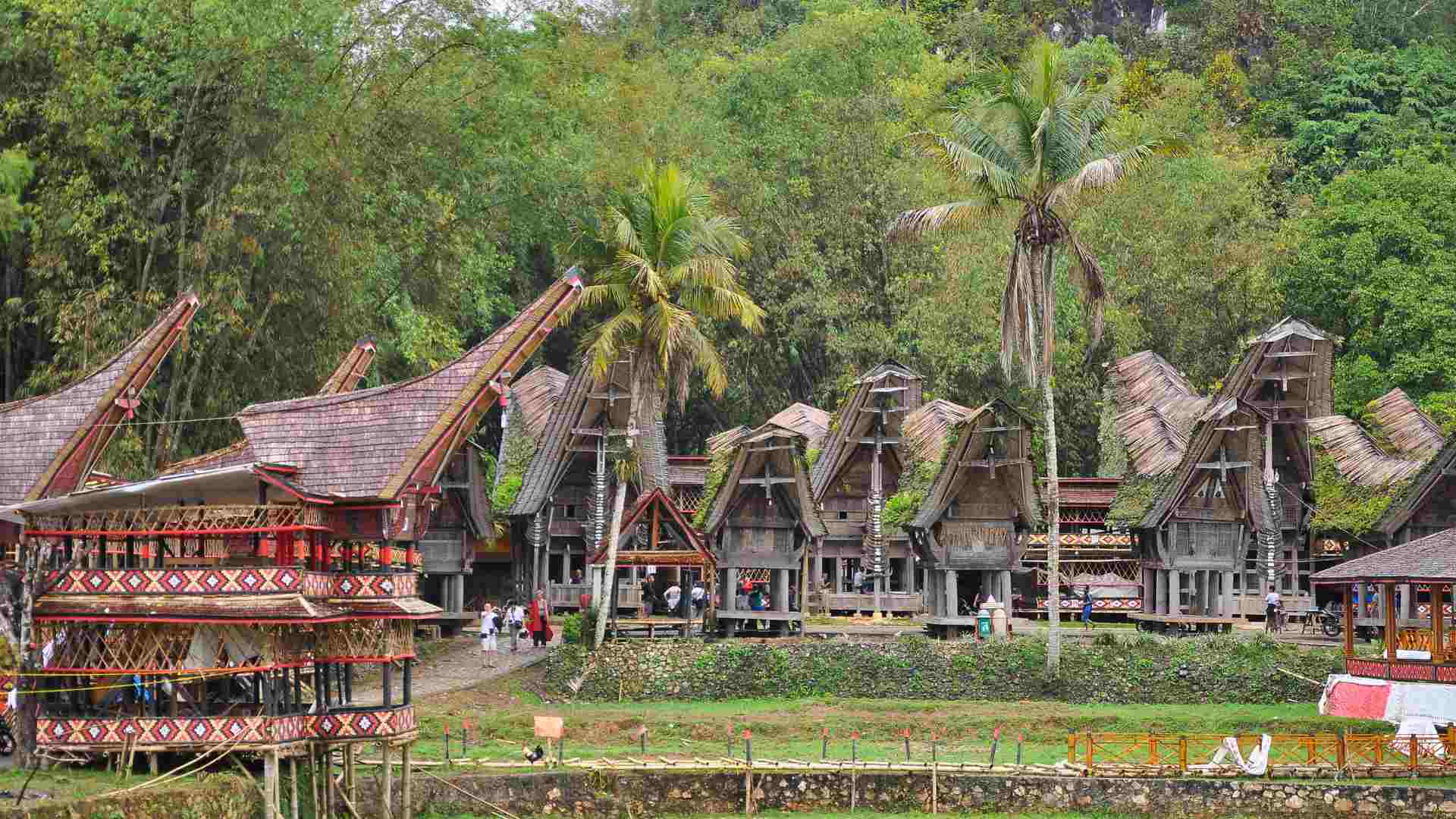 Tana Toraja- exotics