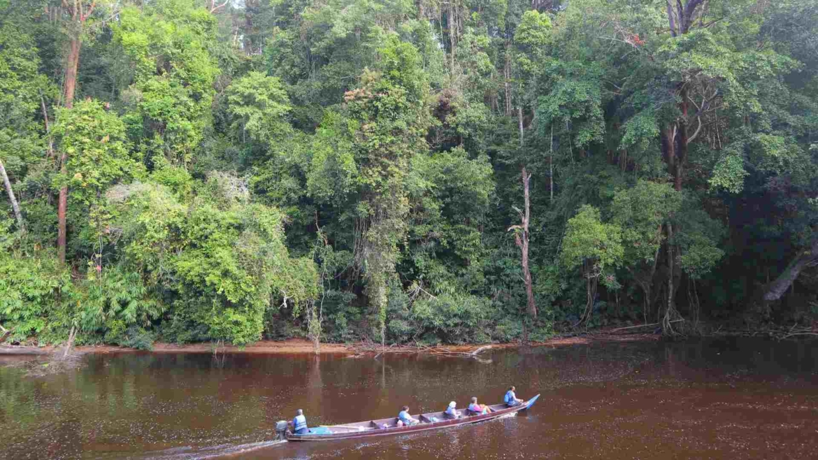 Boat cruise on Tahan River