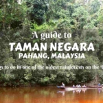 A guide to Taman Negara in Pahang, Peninsular Malaysia- things to do in one of the oldest rainforests on the Earth