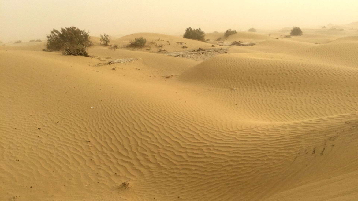 At the edge of Taklamakan Desert