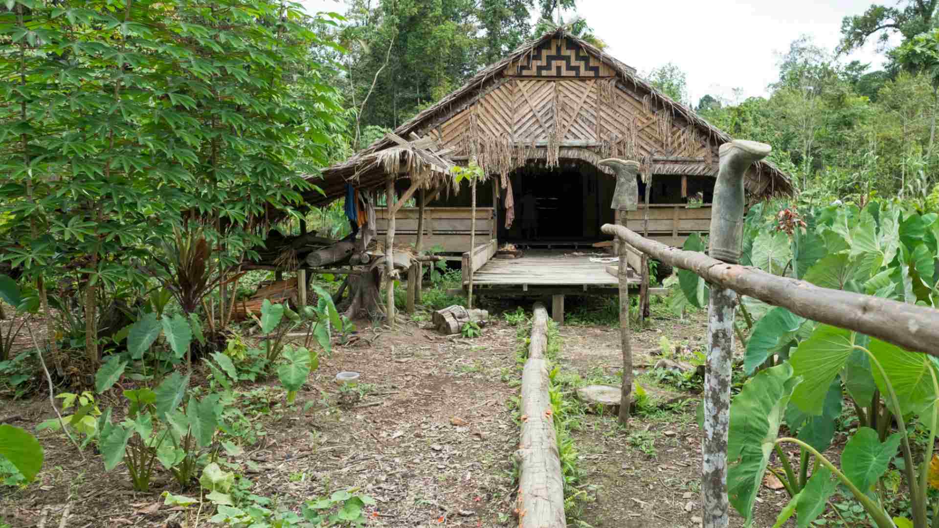 Another Mentawai tribal house