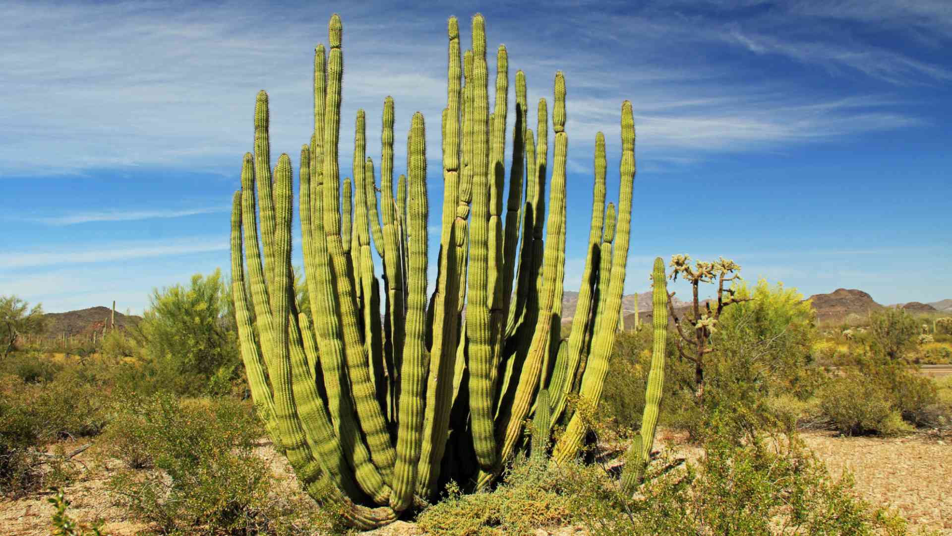 Exploring Arizona's National Parks