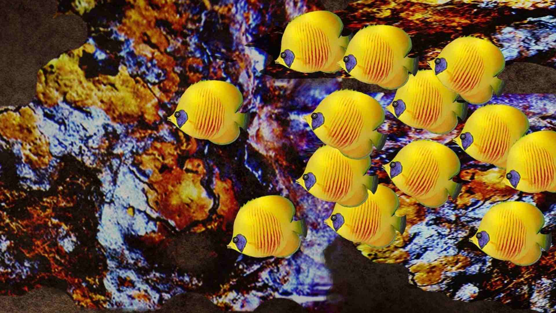 Plenty of colors underwater