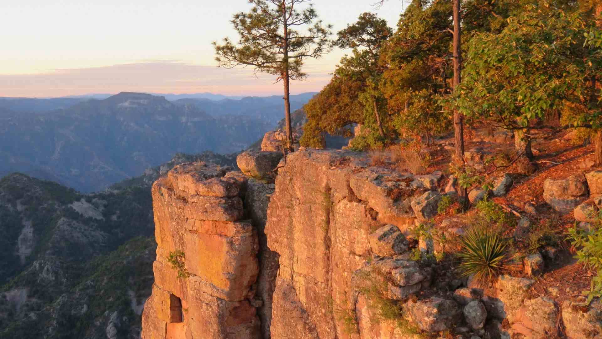 Copper Canyon
