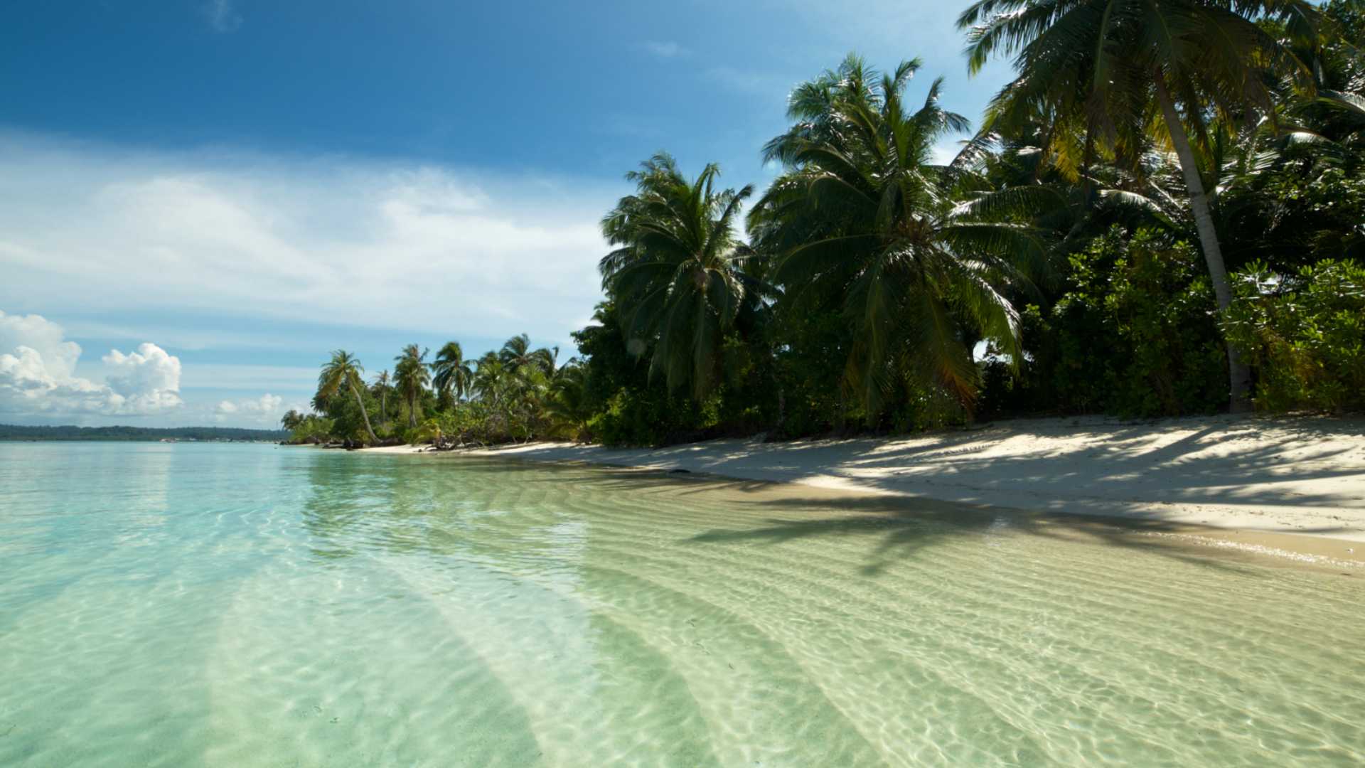 Tropical paradise of Mentawai