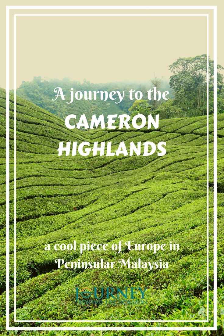 Make a journey to the Cameron Highlands- a cool piece of Europe in the heart of Peninsular Malaysia