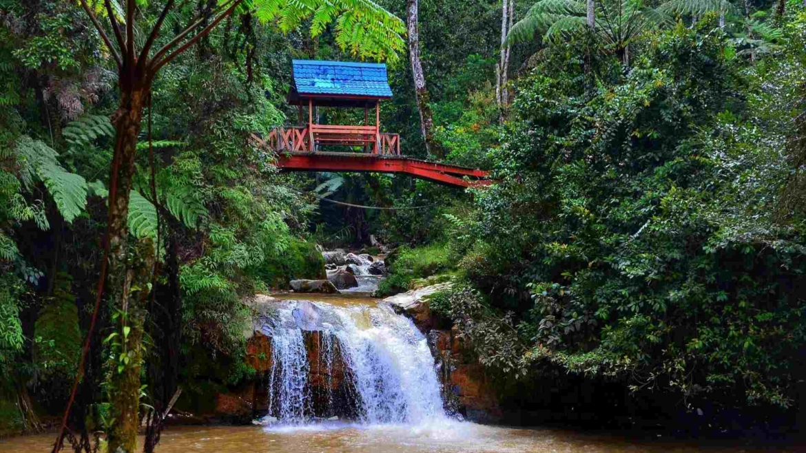 Parit Fall near Tahan Rata