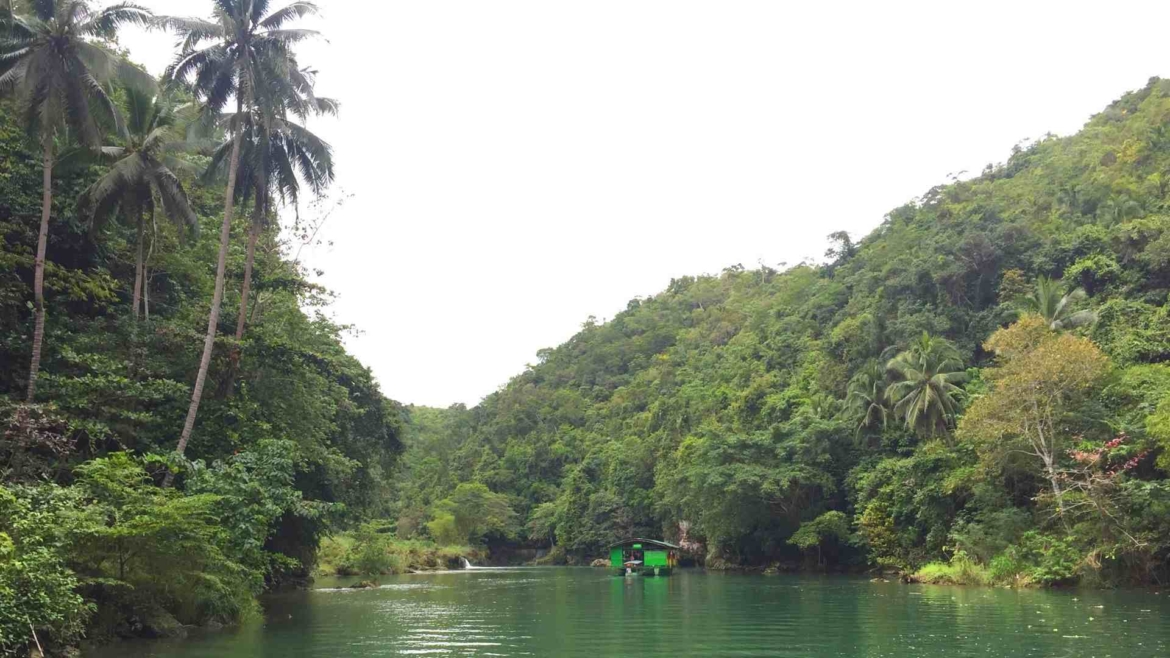 Tropical rainforest around Loboc River