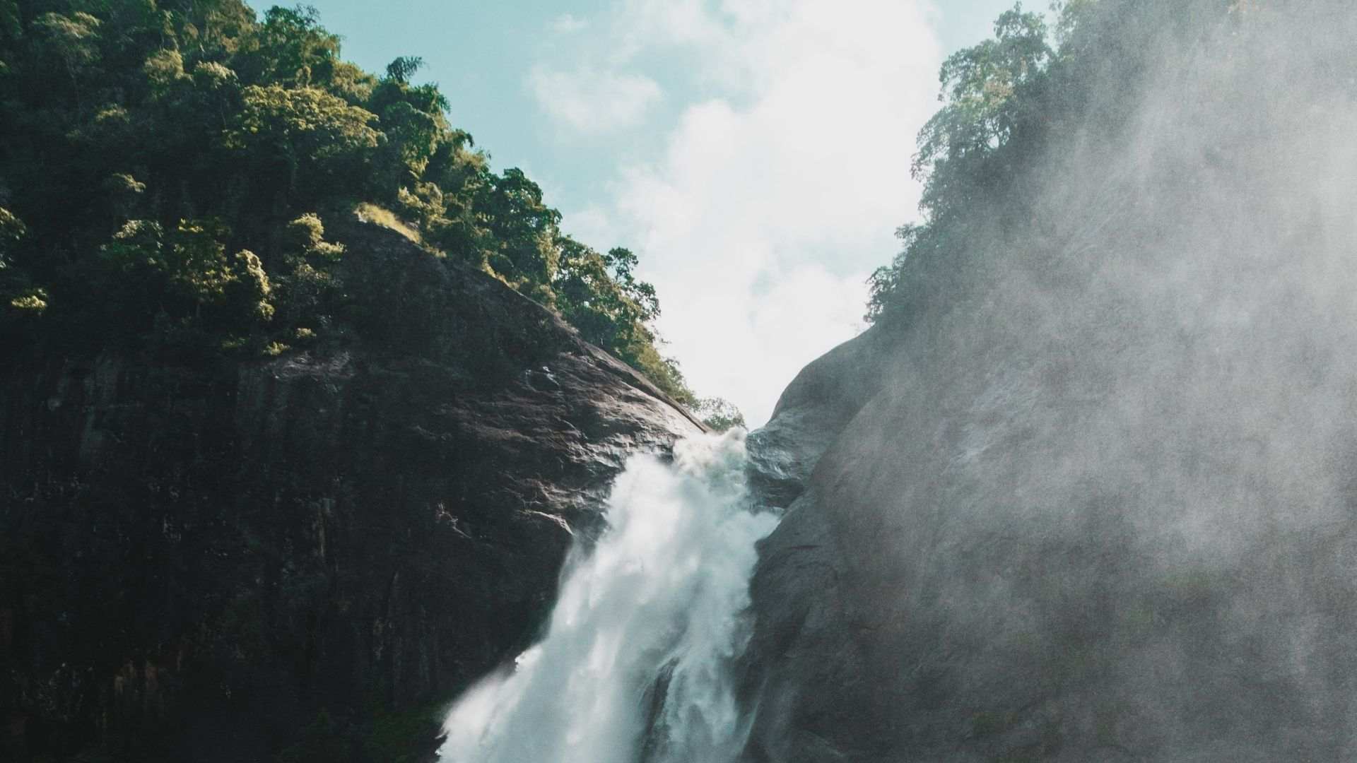 A waterfall in the jungle
